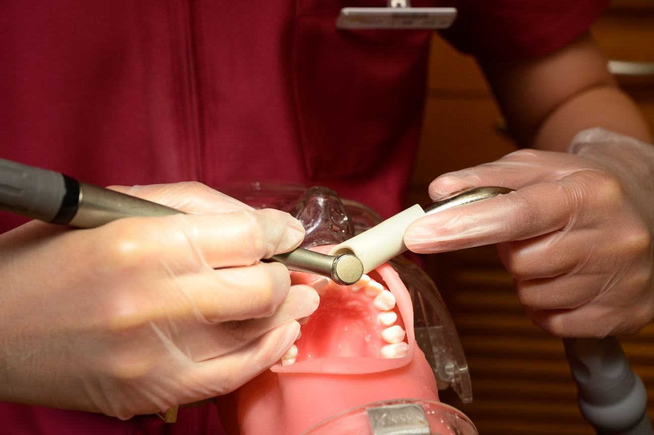 模型および抜去歯牙を用いた実習